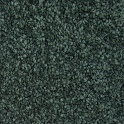 Eden color swatch