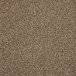 Caramel Ripple color swatch