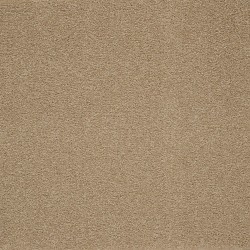 Canyon Shade color swatch
