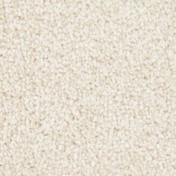 Blonde Oak color swatch