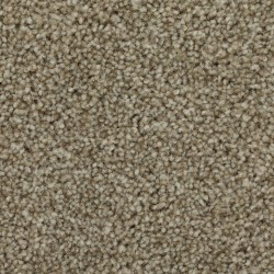 Warm Fog color swatch