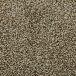 Sparkling Cider color swatch