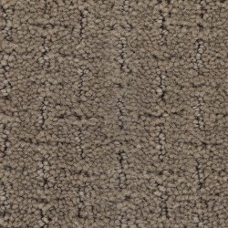 Catalina color swatch