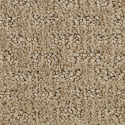 Chiffon color swatch