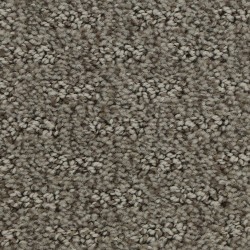 Mist color swatch