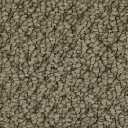 Taupe Whisper color swatch