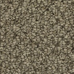 Mushroom color swatch