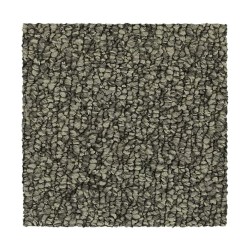 Classic Silver color swatch
