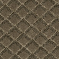 Sequoia color swatch