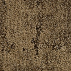 Mushroom color swatch