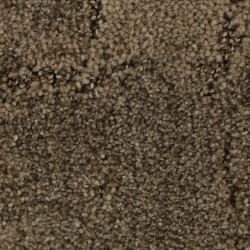 Hoot Owl color swatch