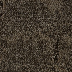 Sequoia color swatch