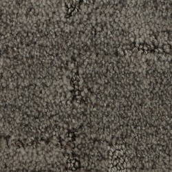 Oyster color swatch