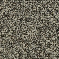 Quiet Beige color swatch