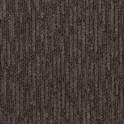 Sea Lion color swatch