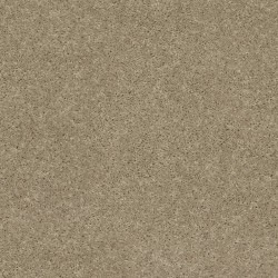 Full Moon color swatch