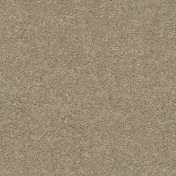First Frost color swatch
