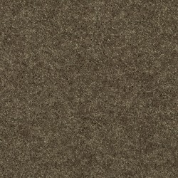 Tumbleweed color swatch