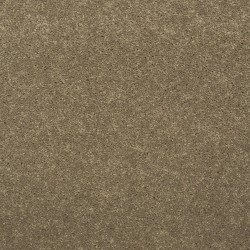 Pioneer color swatch
