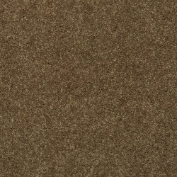 Treasure Chest color swatch