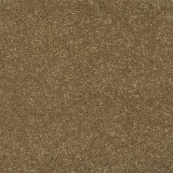 Buffalo Creek color swatch