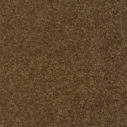 Rich Earth color swatch