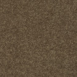 Chart Room color swatch
