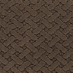 Sequoia color swatch