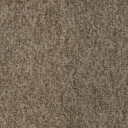 Kodiak color swatch