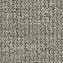 Liquid Silver color swatch