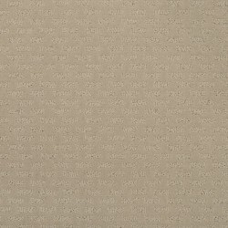 Vanilla color swatch