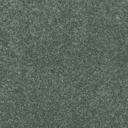 Cactus color swatch