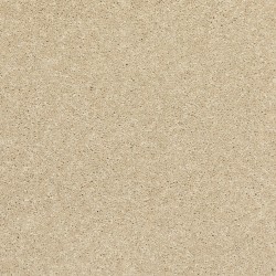 Seashells color swatch