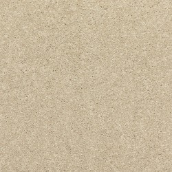 Stone Lion color swatch