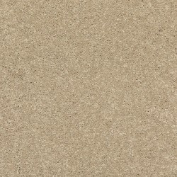 Gold Coast color swatch