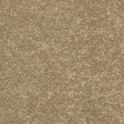 Turnstone color swatch