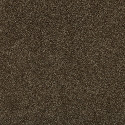 Portobello color swatch
