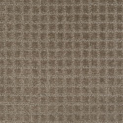 Longhorn color swatch