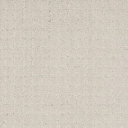 Shell Tint color swatch