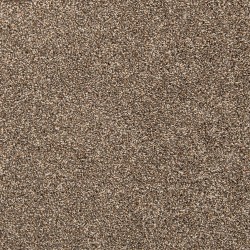 Scotch Mist color swatch