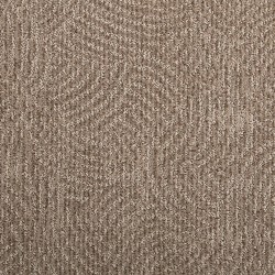 Mushroom color swatch