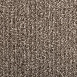 Rawhide color swatch