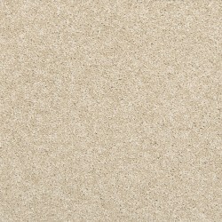 Bleached Almond color swatch