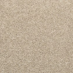 Stony Glade color swatch