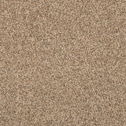 Flax Seed color swatch