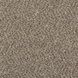Shimmer Ash color swatch