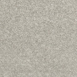 Winter Ash color swatch