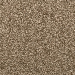 Spice Cake color swatch