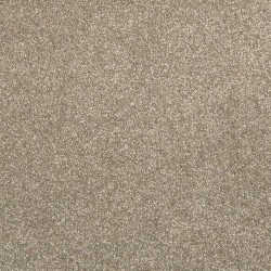 Iron Clad color swatch