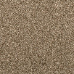 Spice Cake color swatch
